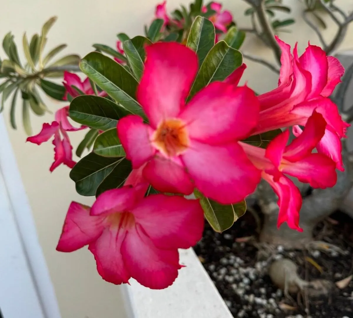 2Bed Modern Condo With Ac, Pool, Rooftop Patio, 5 Min To Beach Christ Church